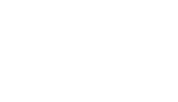 DCM Developments